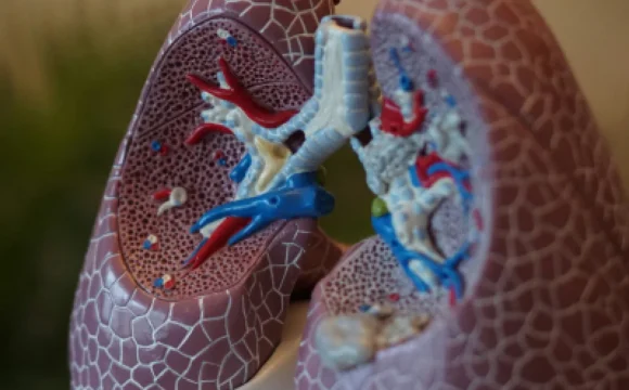 Cord pulmonar cronic
