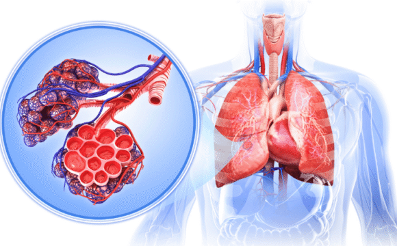 Insuficiența respiratorie cronică
